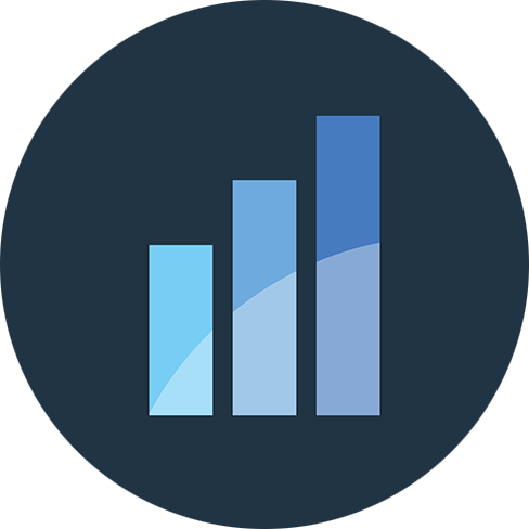 review rudolf willems